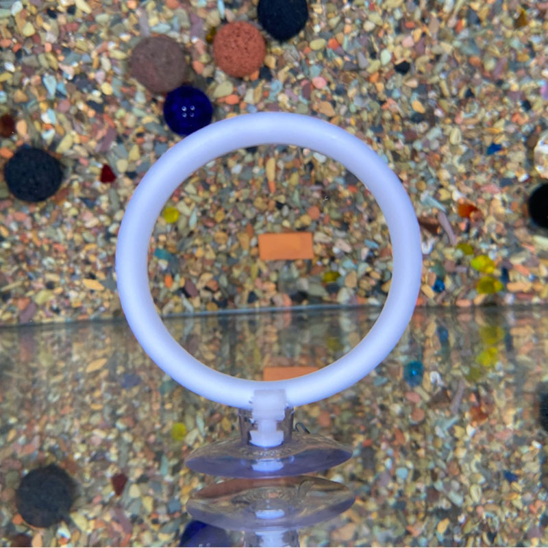 1pcs Plastic Fish Tank Aquariu - Gymnastic Ring recension och pris